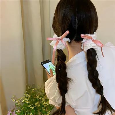 鬣狗之路